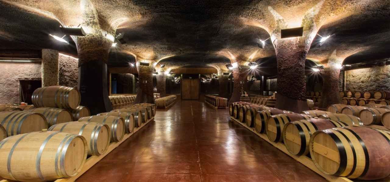 Visit Winery in Tarragona Wine Paths